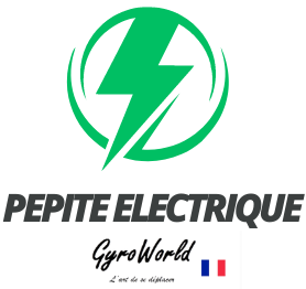 pepite-electrique.com